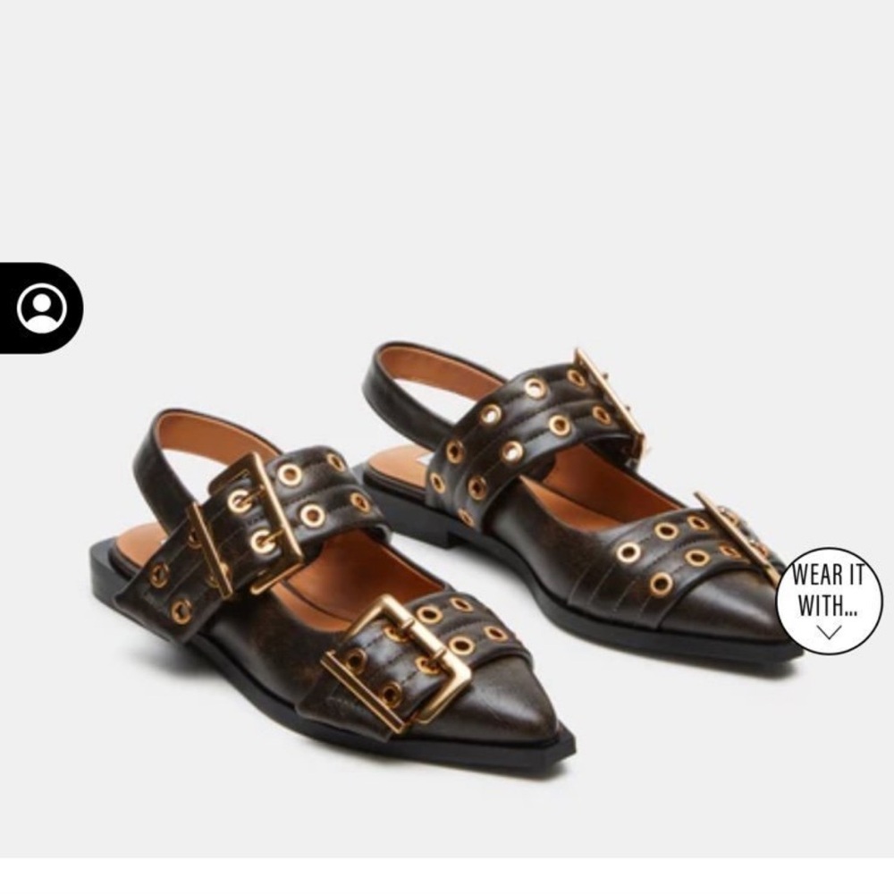 Steve Madden Brown Pointed Toe Slingback Flats with Gold Buckles